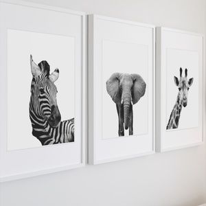 Set of 4 Black & White 8.5x11 Animal Prints (frames not included)